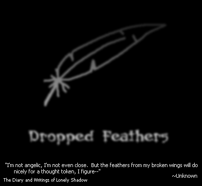 dropped feathers...